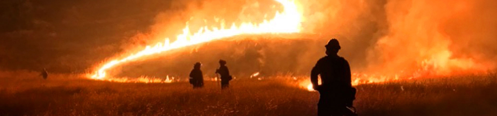 Four firefighters in burning wildfire on hill